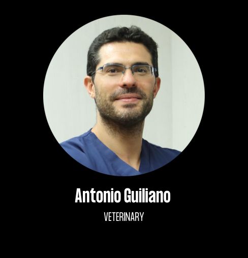 Antonio Guiliano